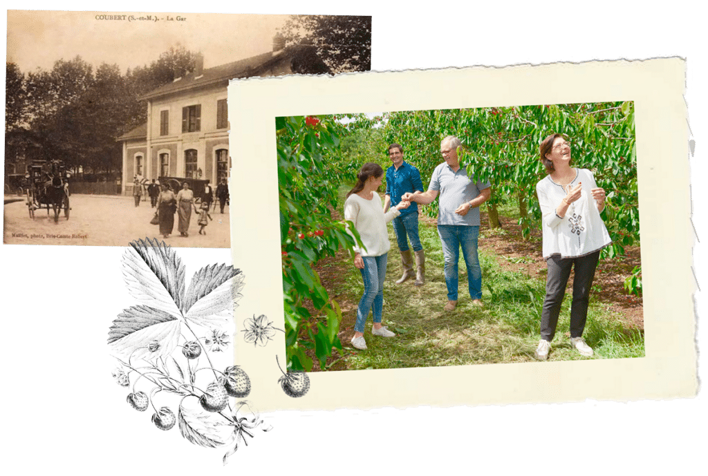 Ferme de coubert cueillette ferme verger campagne france