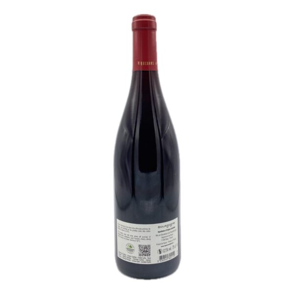 Bourgogne Pinot Noir – Image 2
