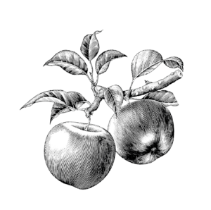Fruits et légumes français en ligne
