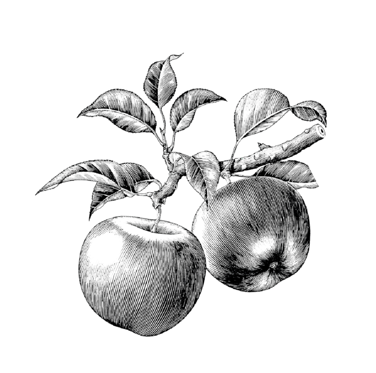 Fruits et légumes français en ligne