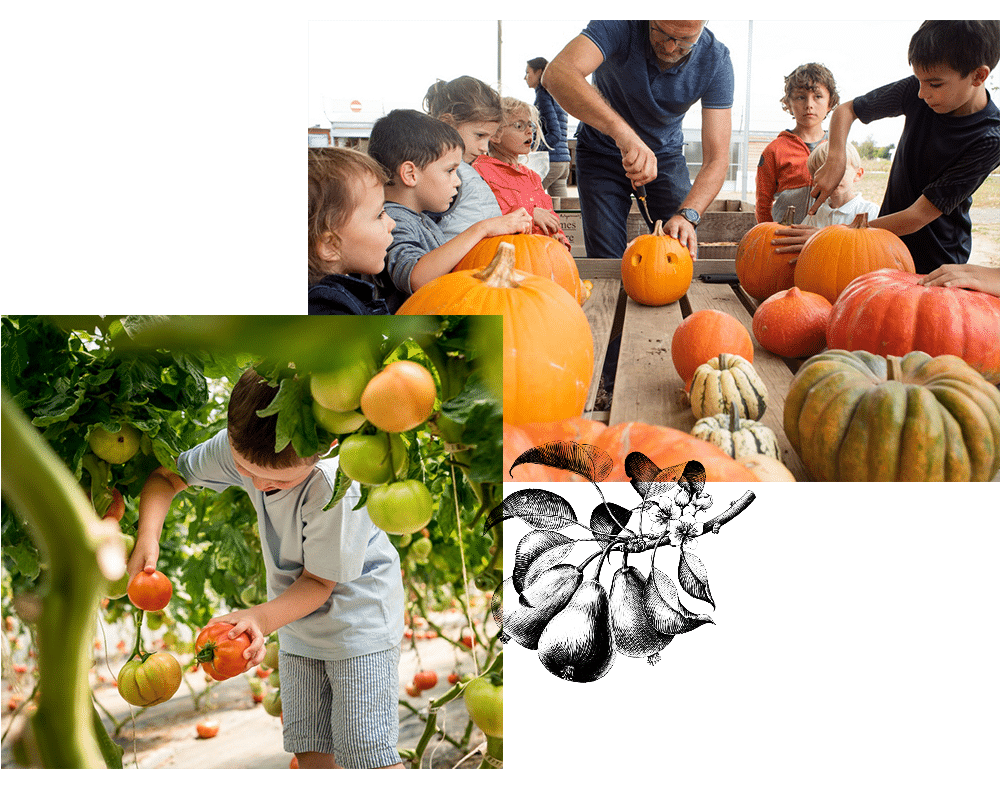 groupe scolaire ferme